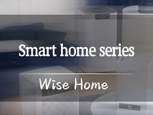 TFT LCD Display,Wise Home Series