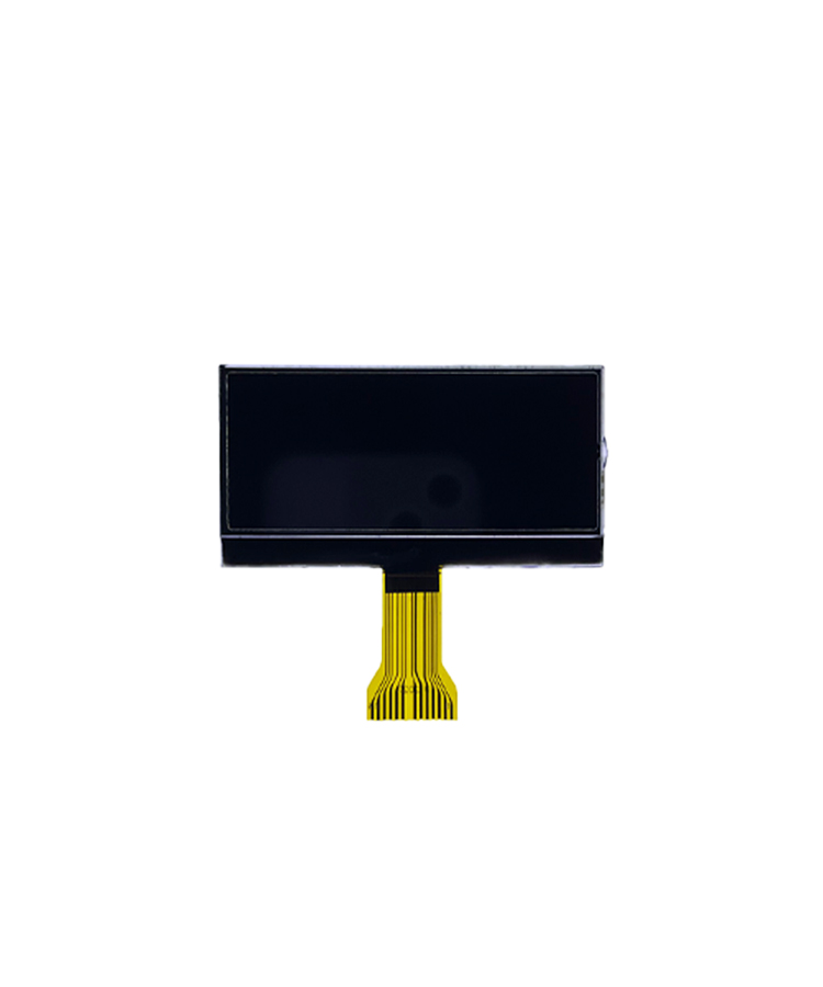 Monochrome LCD Display Screen Module Applied to Electric Bicycle