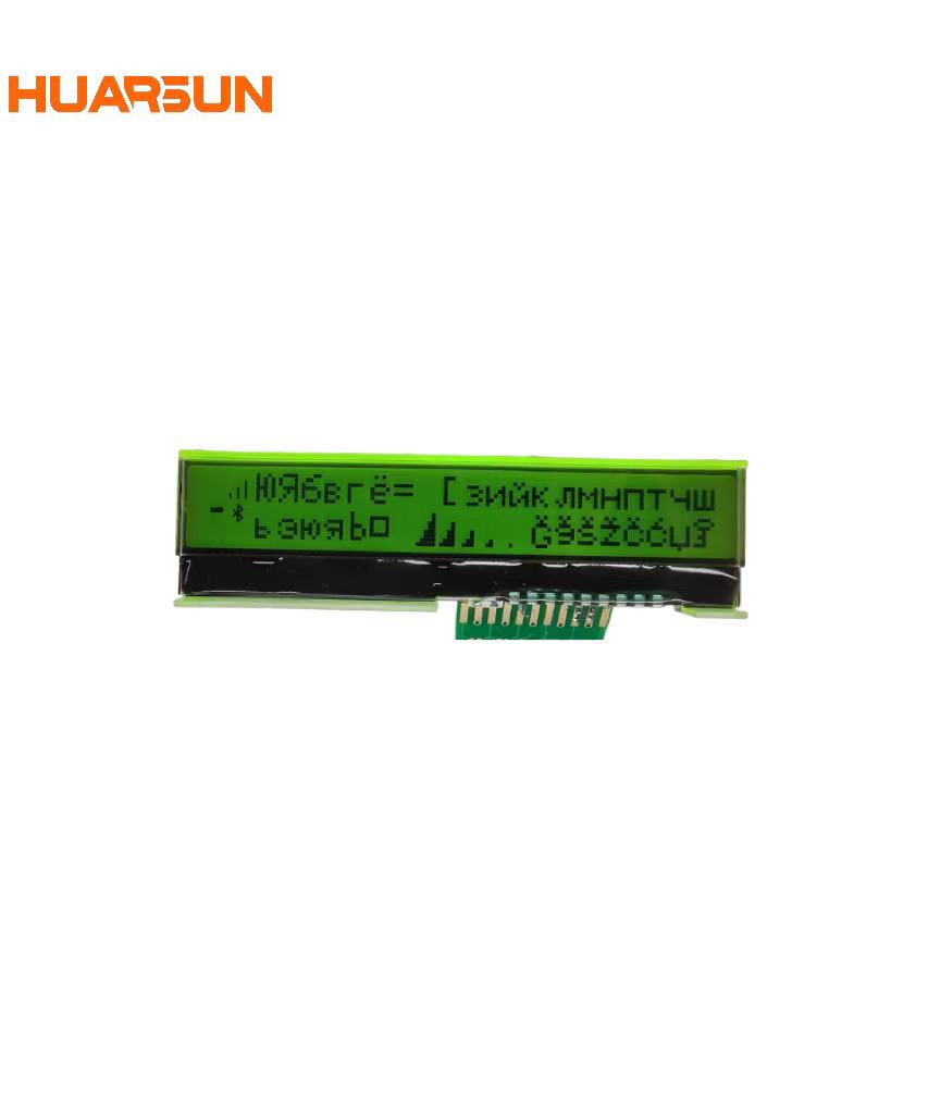 Hemlcd Display Monochrome Transflective Positive OEM/ODM Screen